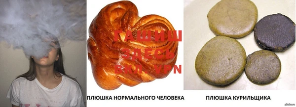 шишки Алзамай