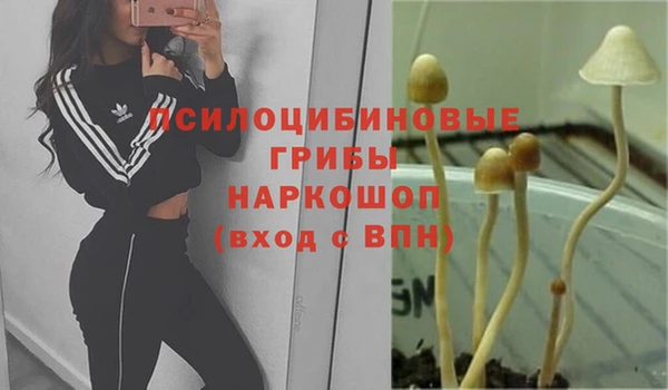 хмурый Алексеевка