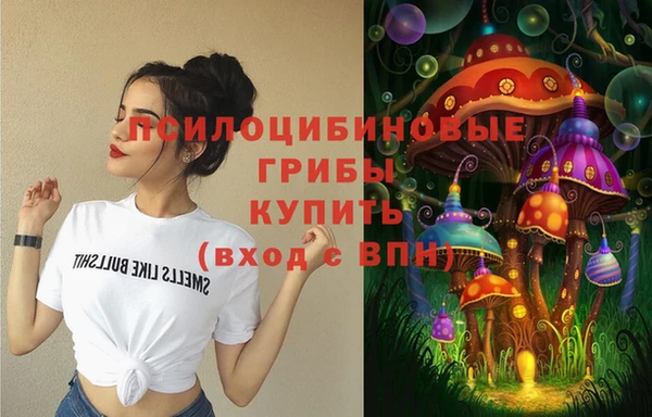 хмурый Алексеевка