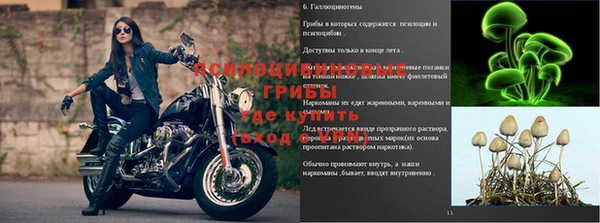 соль ск Алексин