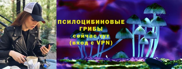 соль ск Алексин