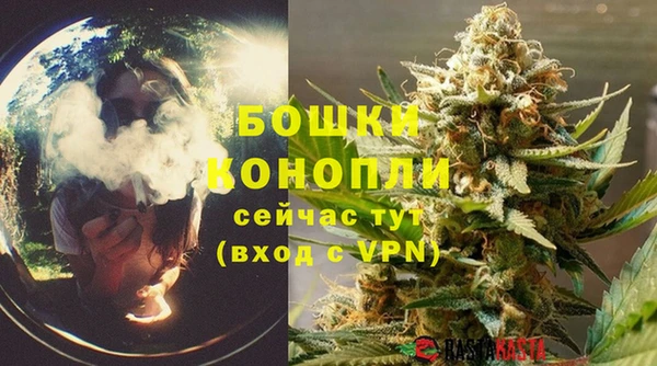 шишки Алзамай