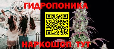 кокс Аргун