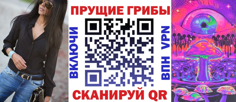 Псилоцибиновые грибы Magic Shrooms  blacksprut онион  Бердск 