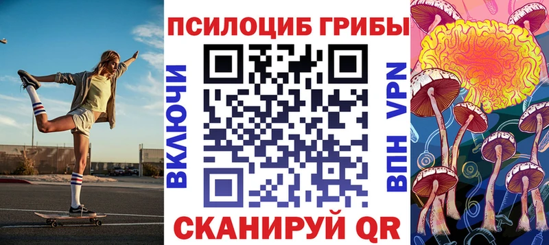 Псилоцибиновые грибы Psilocybine cubensis Бердск
