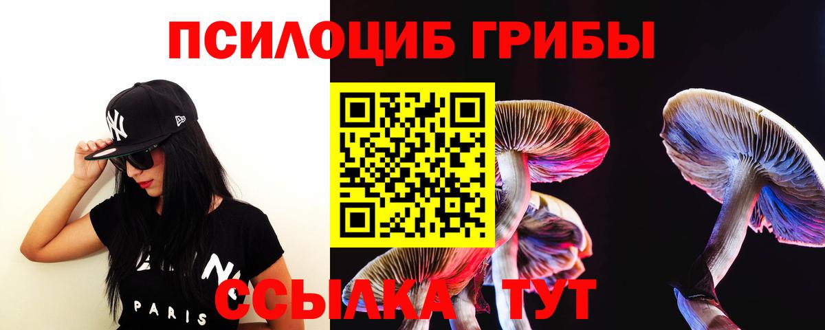 магазин продажи   Псилоцибиновые грибы мицелий  Вход с VPN  Псилоцибиновые грибы мухоморы  Бердск 