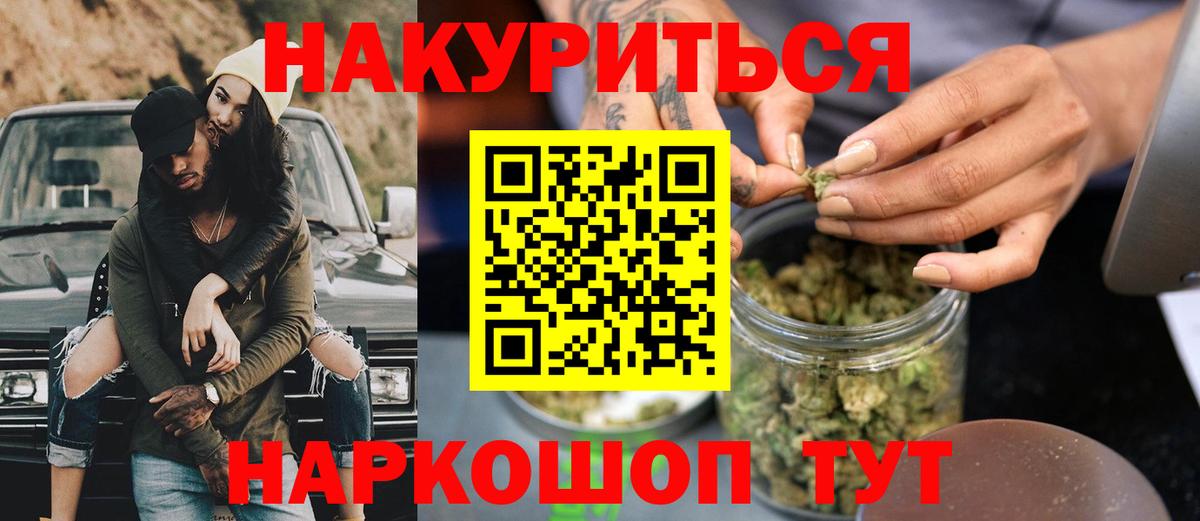 Бошки Шишки планчик Бердск